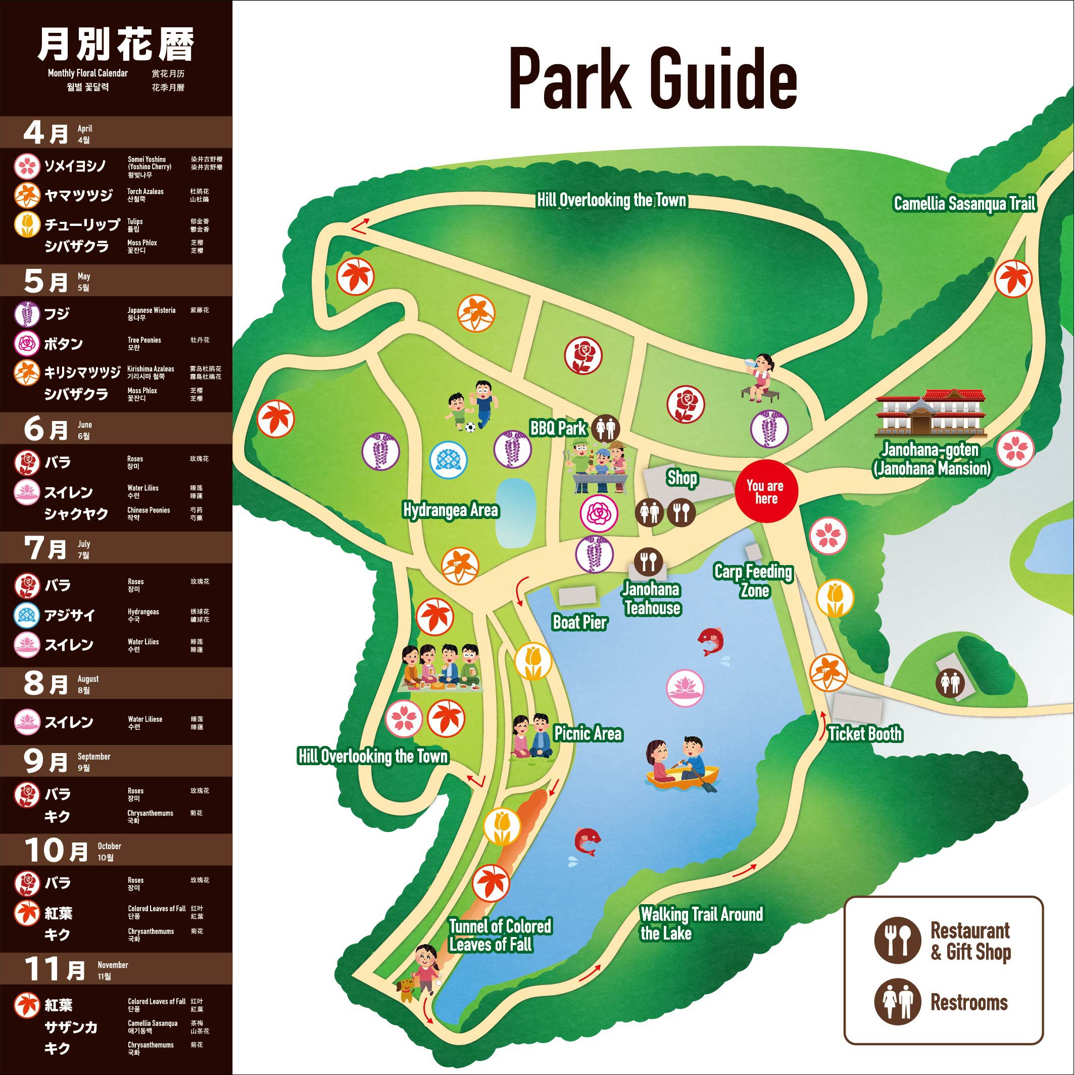 🌸 꽃과 역사의 고향 뱀의 코 (하나토레키시노사토 자노하나) 이미지 15